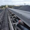 Anti-adhesion Conveyor Beltv