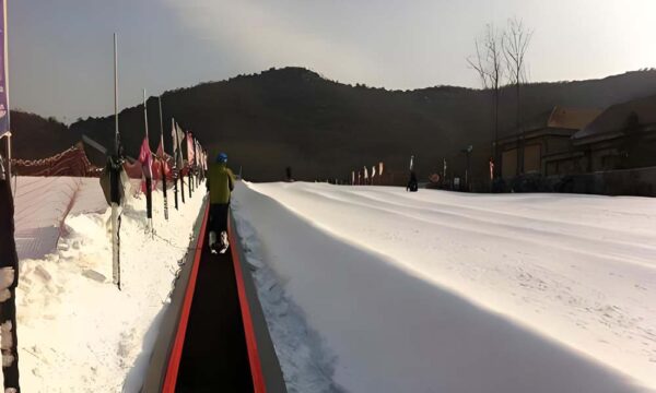 Cold Resistant Steel Cord Conveyor Belt