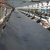 Flame Resistant Fabric Conveyor Belt