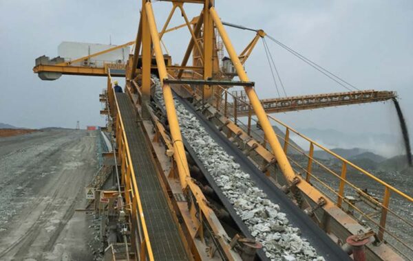 Straight Warp Conveyor Belt