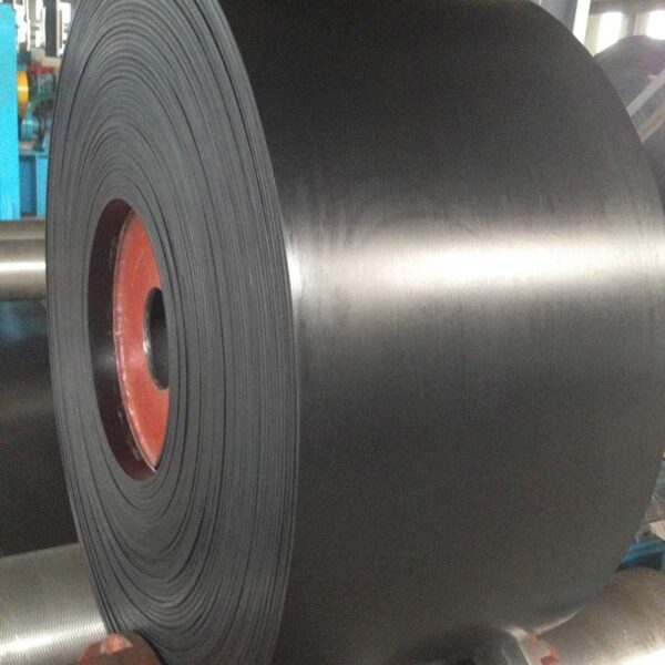 Straight Warp Conveyor Belt