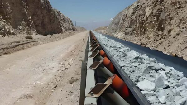 Straight Warp Conveyor Belt