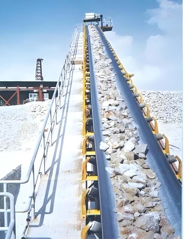 Straight Warp Conveyor Belt